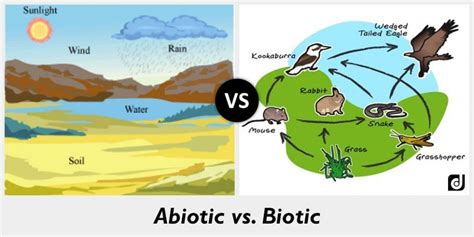 Biotic Factors