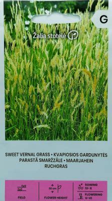 Sweet Vernal Grass Seeds - Irish Plants Direct