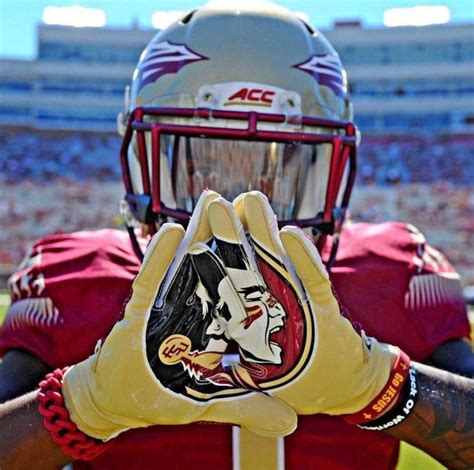 Pin by Dottie Fulcher on FSU | Football helmets, Fsu, Football