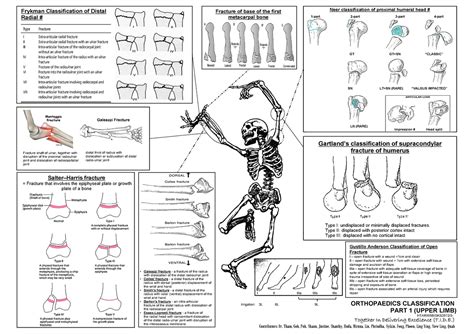 Ortho-essentials 1 - ####### Frykman Classification of Distal ####### Radial # Galeazzi Fracture ...