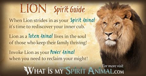 Lion Symbolism & Meaning | Spirit, Totem & Power Animal