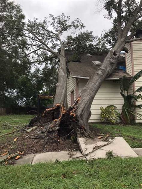 Central Florida viewers capture incredible photos of Hurricane Irma aftermath