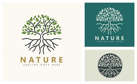 Premium Vector | Tree and roots logo design inspiration