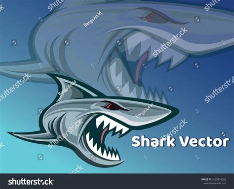 Shark Vector Angry Sharks Sea Vector Stock Vector (Royalty Free ...