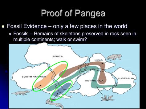 PPT - Plate Tectonics PowerPoint Presentation, free download - ID:514154