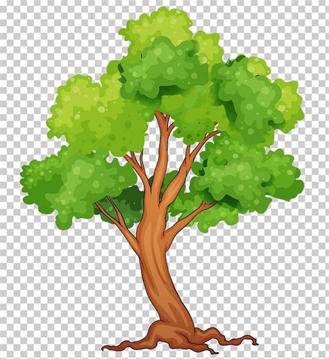 Tropical Rainforest Tree PNG - branch, can stock photo, clip art ...