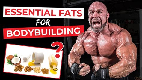 Best Essential Fats for Bodybuilding and Losing Weight (The last one is my favorite) - YouTube