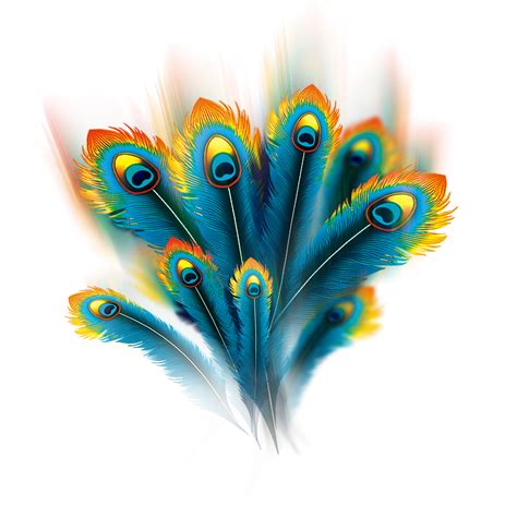 Feather Peafowl Computer file - Wispy peacock feathers png download ...