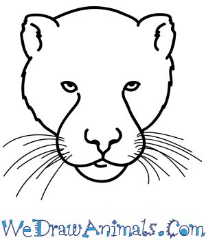 Wefalling: Face Black Panther Animal Drawing Easy