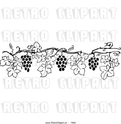 Grape Vine Border Vector at GetDrawings | Free download