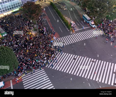 Pedestrians crosswalk at Shibuya district in Tokyo, Japan. Shibuya Crossing is one of the ...