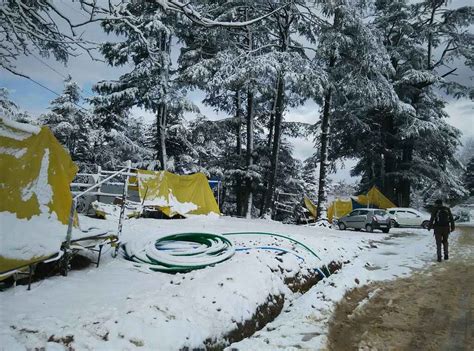 Shimla Snowfall Time: Best Time & Months to Visit for a Memorable Trip