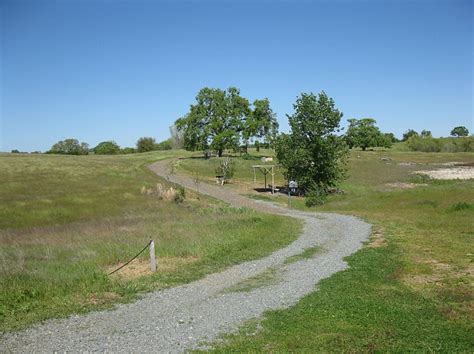 Camanche Hills Hunting Preserve/Picture 0266