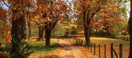 Visit West Virginia for Peak Foliage Season | Foliage.org