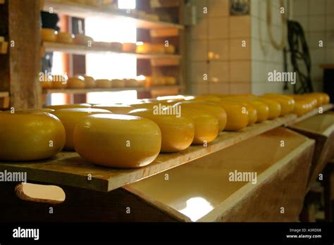 Dutch Cheese Making Museum Zaandam Netherlands Stock Photo - Alamy