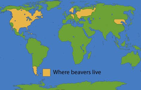 Beaver | Earthworms, National geographic kids, Map