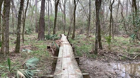 Lone Star Hiking Trail Day 1 | Trailhead #1 to Osborn Road