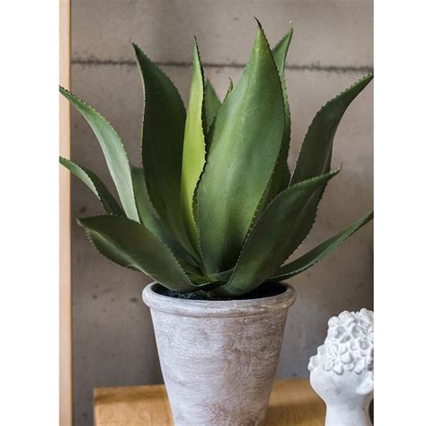 Artificial Large Potted Agave Plant 22.8" – RusticReach