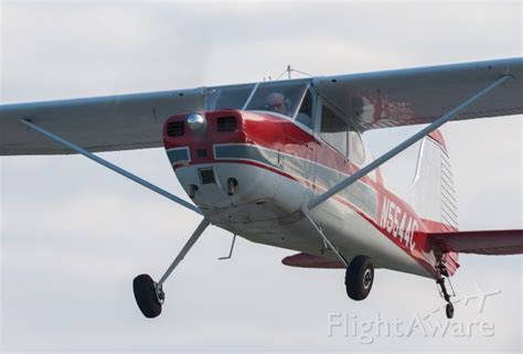 Cessna 170 (piston-single) (C170) Aircraft (page 1) FlightAware Cessna, Pistons, Aviation ...