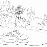 Pond Coloring Pages  Free Printable sketch template