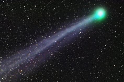 Brilliant green ‘comet of the year’ with 10 million mile long tail will be visible all week ...