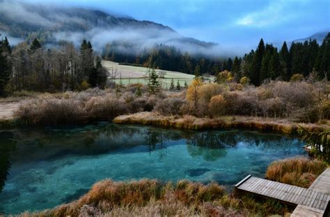 All You Need To Know To Visit The Zelenci Nature Reserve In Slovenia