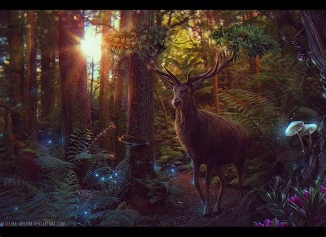 Enchanted Forest + Video | Enchanted forest, Magic forest, Fantasy art landscapes