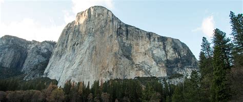 Yosemite Rock Climbing - The Redwoods In Yosemite