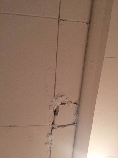 Interlocking Ceiling Tiles - Reinstalling Interlocking Ceiling Tiles After Leak ... : Shop for ...