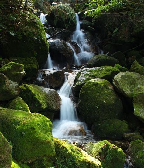 Yakushima Falls II | Wonders of the world, Yakushima, Waterfall