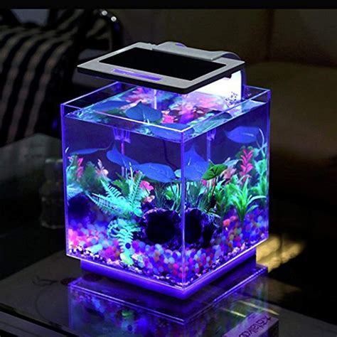 10 Best Minimalist Ornamental Fish Aquarium Design Ideas You Have To ...