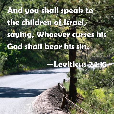 Leviticus 24:15 And you shall speak to the children of Israel, saying ...