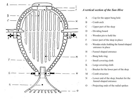 The Sun Hive: A Majestically Beautiful Bee Hive That Could Save The Honey Bees - Off Grid World