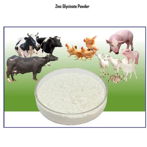 Zinc Glycinate Powder at Rs 950/kg | Nagpur | ID: 2853243757162