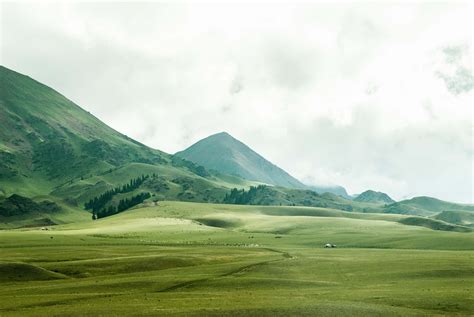 Landscape Bird's Eye View Of Grassland Beside Mountain Field Image Free ...