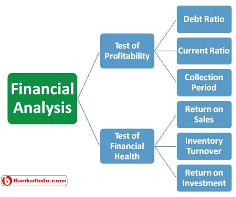 Financial Ratio Analysis Report Template - SampleTemplatess ...