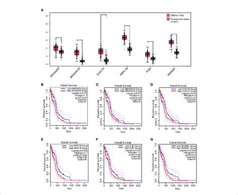 | Identification of tumor antigens associated with GBM prognosis. (A ...