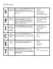 SPICE T Chart - Explanation and Blank.pdf - S Social Interactions and Organization The process ...