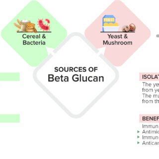 Sources of β-glucan. Adapted from [84] | Download Scientific Diagram