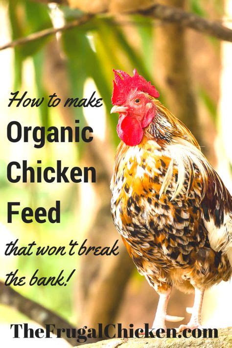 Delicious Organic Chicken Recipes for Healthy Meals