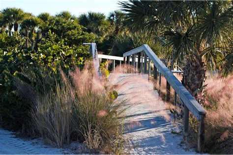 Tigertail Beach Park | Collier County Parks & Recreation