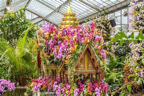 Kew Gardens - The Festival of Orchids and Other Delights | BaldHiker