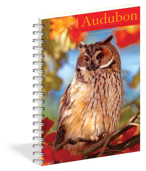 Amazon.com: Audubon Birder's Engagement Calendar 2018 (9781523500710): Workman Publishing: Books