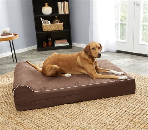 Best Orthopedic Dog Beds | Top Picks for Pup's Sleepy Time