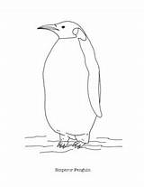 Emperor Penguin Coloring Page sketch template