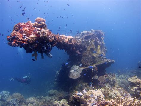 Chuuk Lagoon Diving | Original Diving