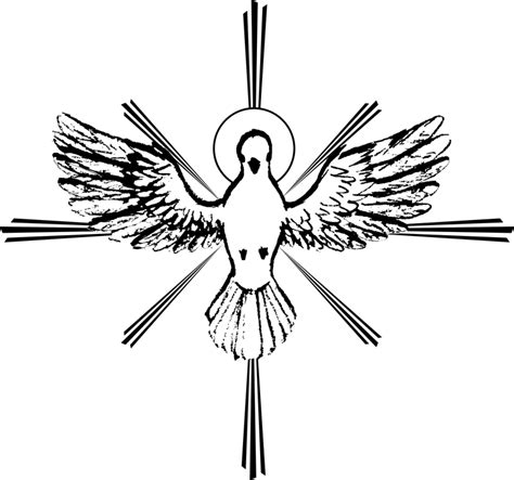 Free vector graphic: Holy Spirit, Peace Dove, Sketch - Free Image on ...