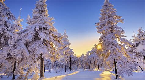 Winter In Germany, german winter, winter scene, blue winter, winter ...