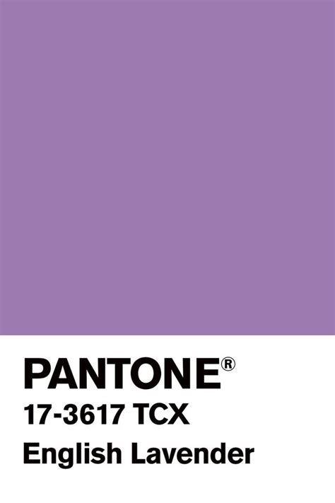 Image result for pantone lavender | Pantone, Pantone palette, English lavender