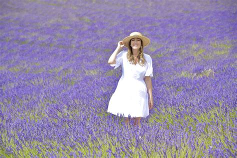 A Guide to Visiting the Lavender Fields in Provence - Planes, Trains and Champagne